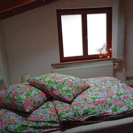 Casa Sabine Freiburg im Breisgau